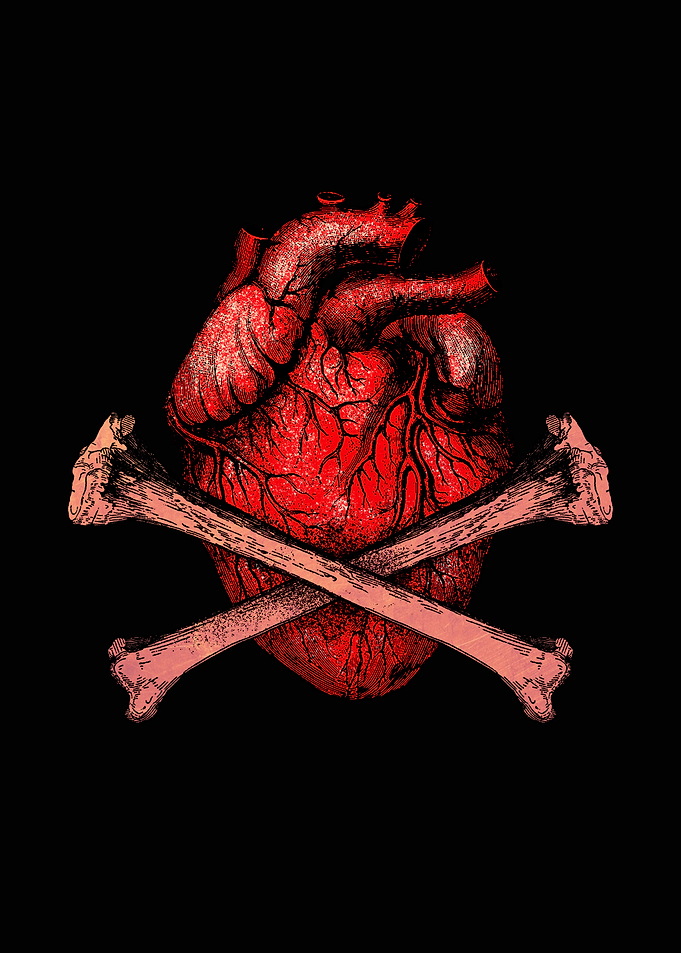 Heart and Bones