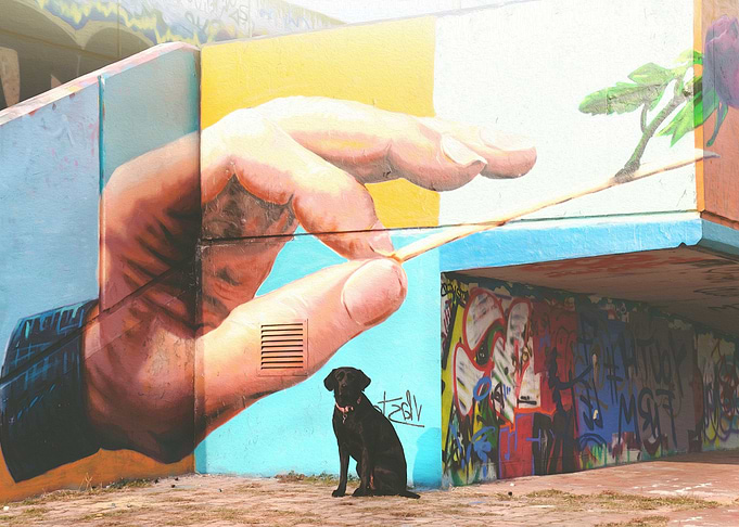 Graffiti Dog