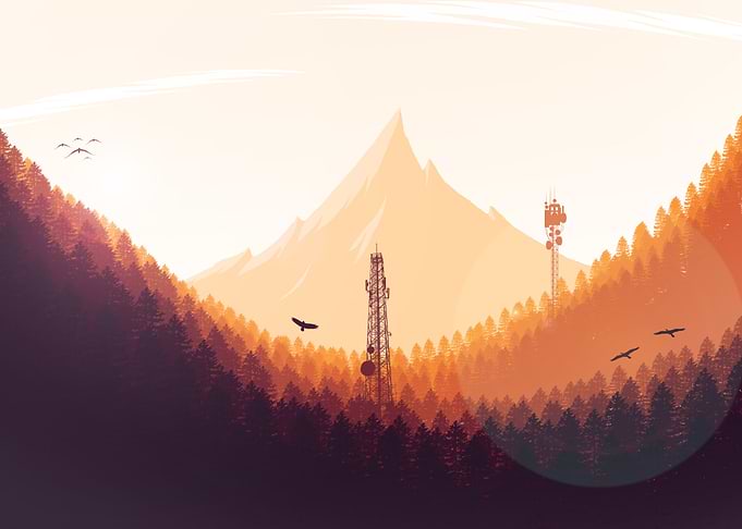 Sunset at Forest