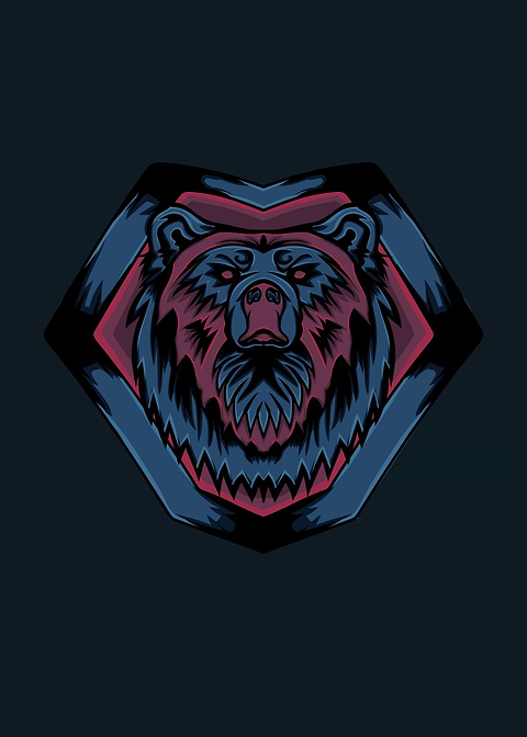 Bear Illustration