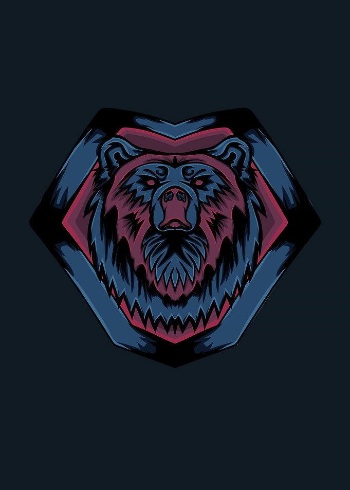 Bear Illustration