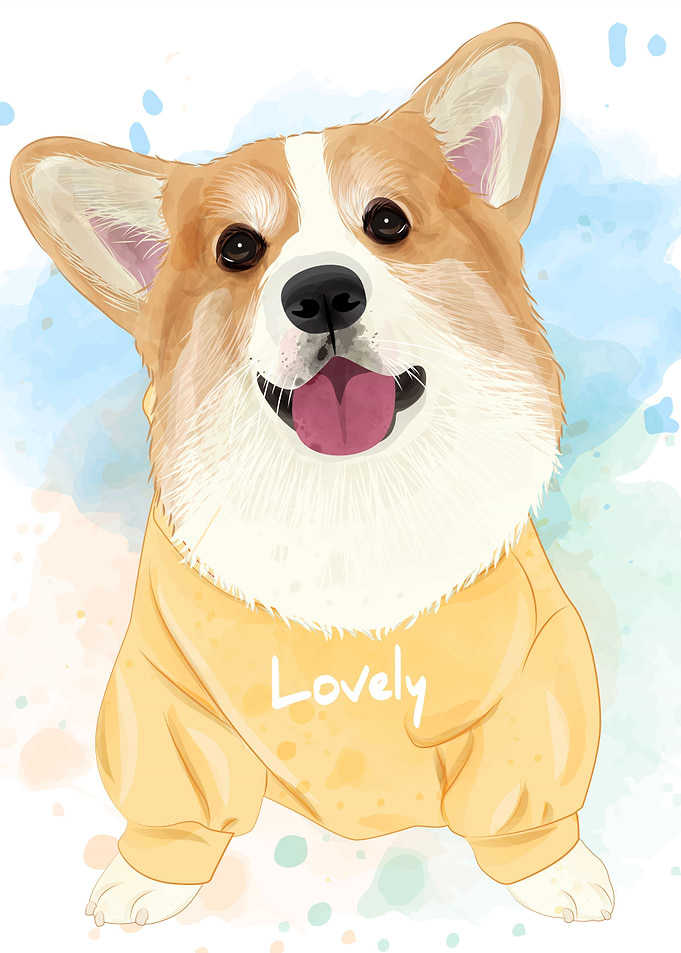 Cute corgi