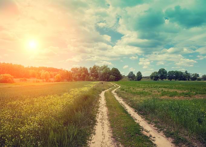 Field Meadow Rural Landsca