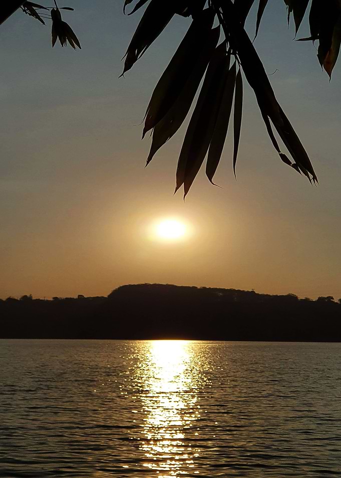 Twilight View