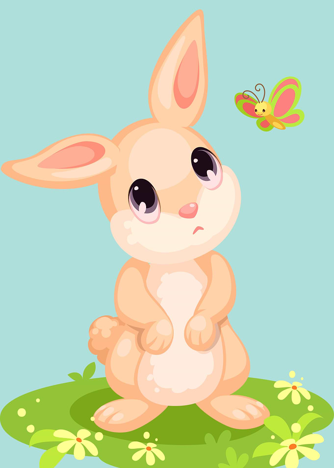Cute rabbit