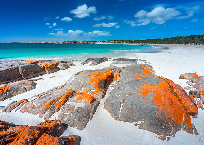 Australia Beach Beauty Cle