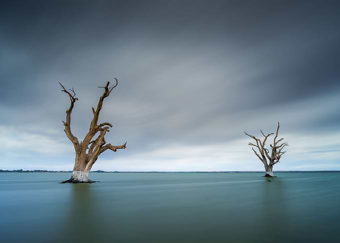 Artistic Australia Beauty