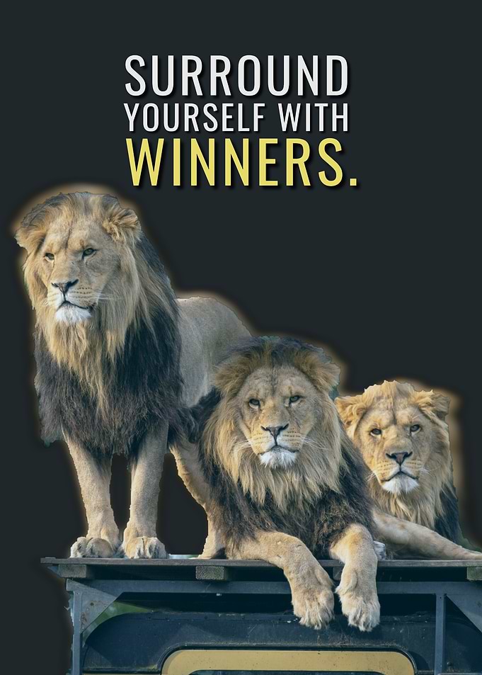 Surrounded by Winners