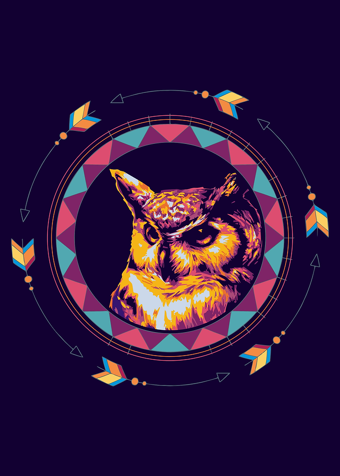 Owl Strigidae