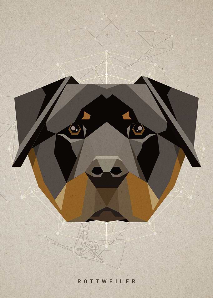 Dog Art