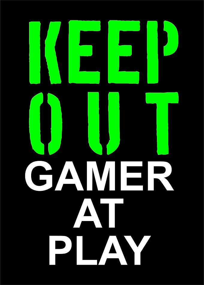 Gamer At Play