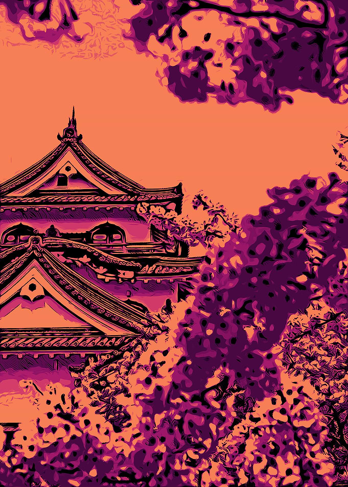 Blossom Sunset