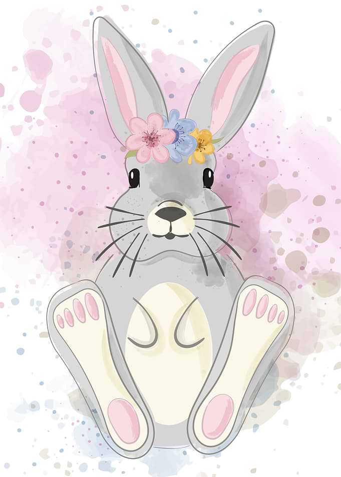 Cute bunny