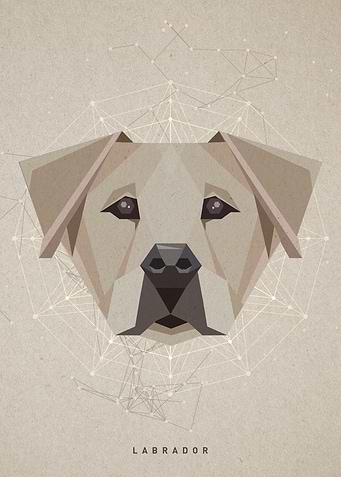 Dog Art