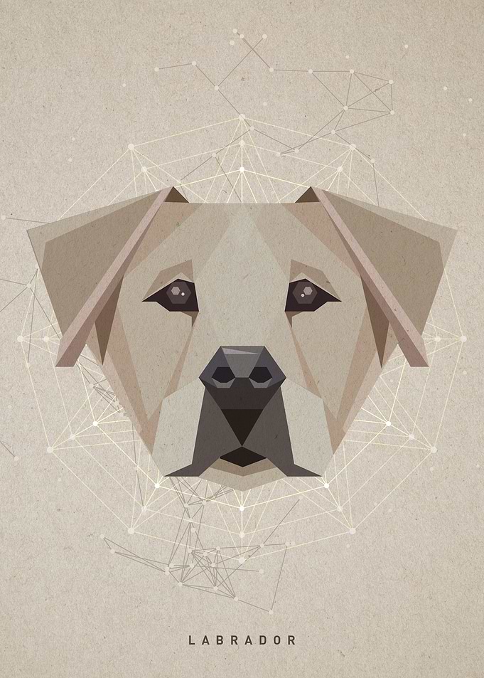 Dog Art