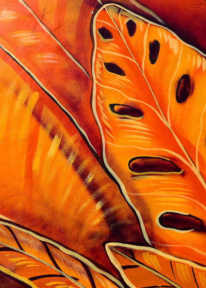 Orange Leaf