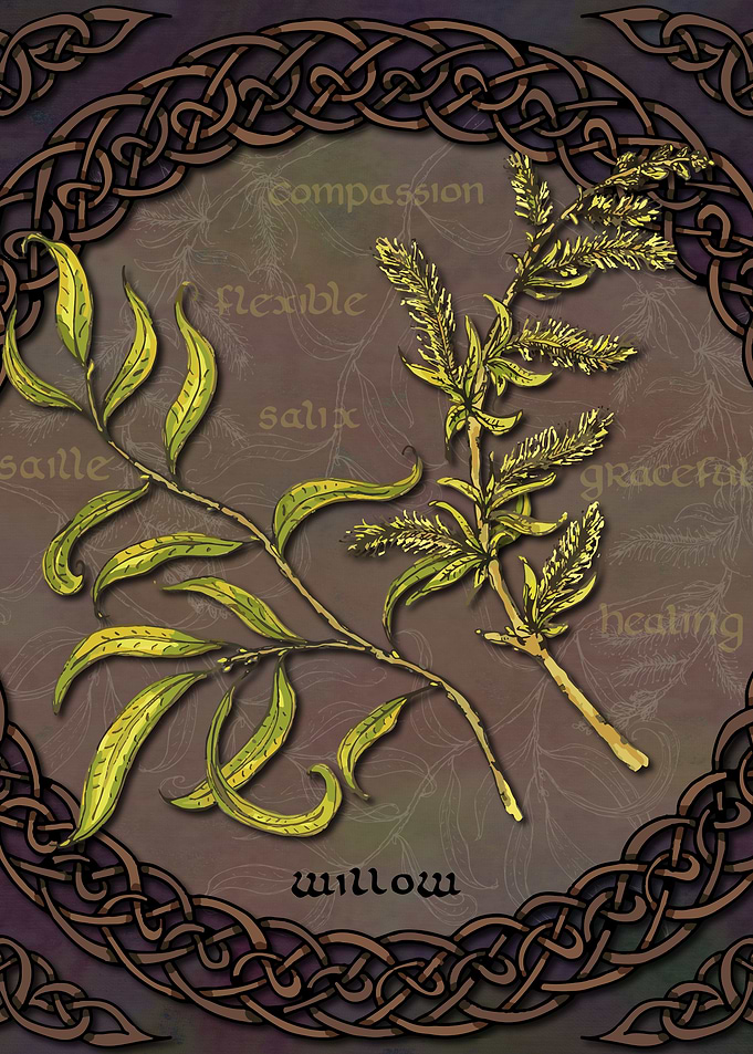 Celtic Willow