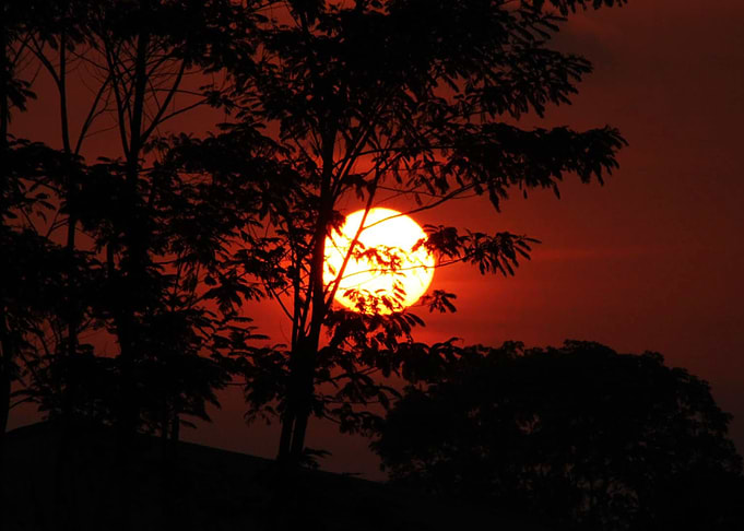 Beautiful Twilight