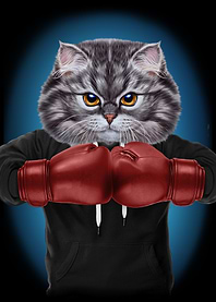 Boxer Cat Boxing Champion