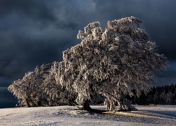 Winter storm
