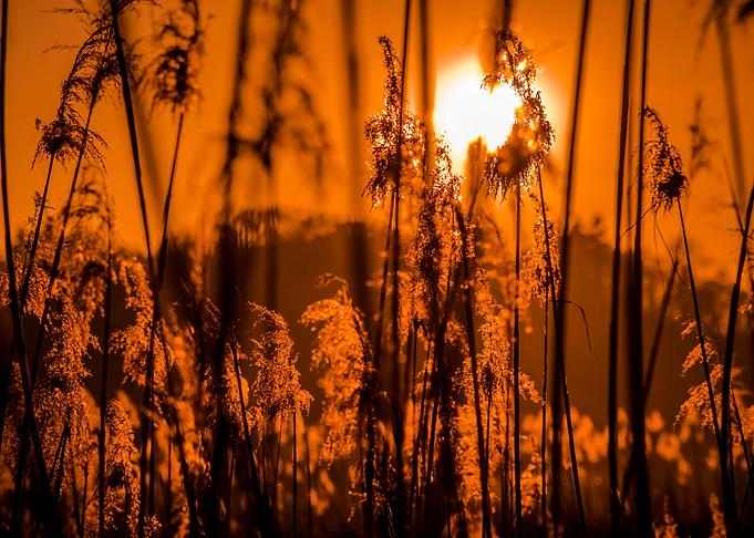 Sun and nature