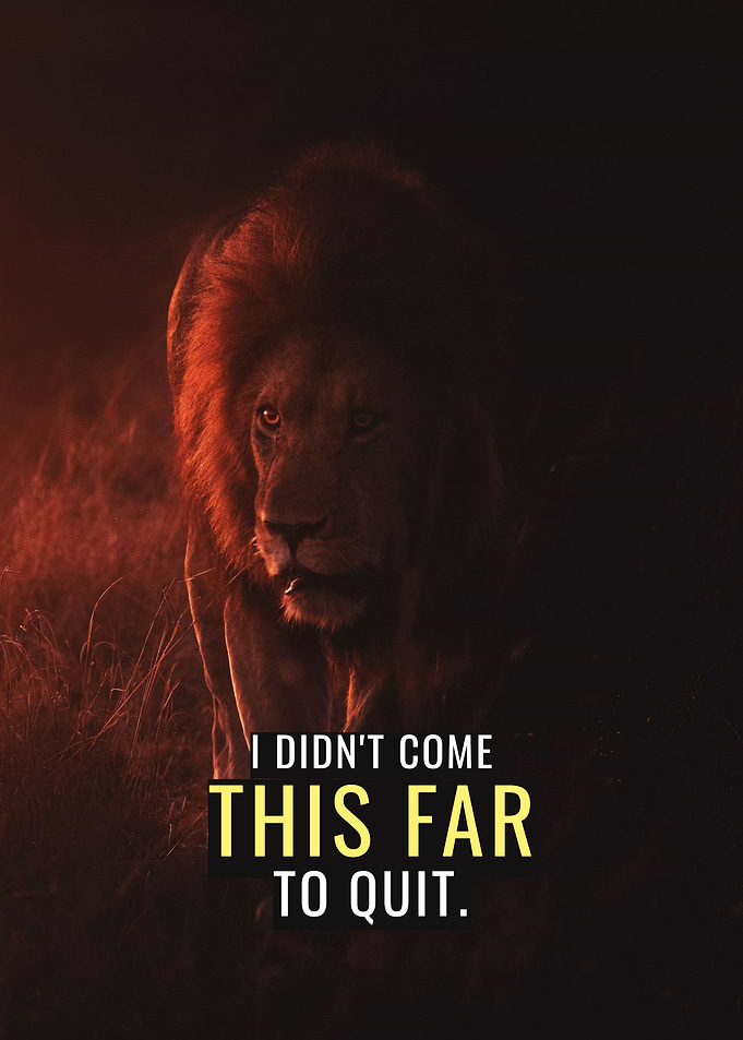 Lion doesnt Quit