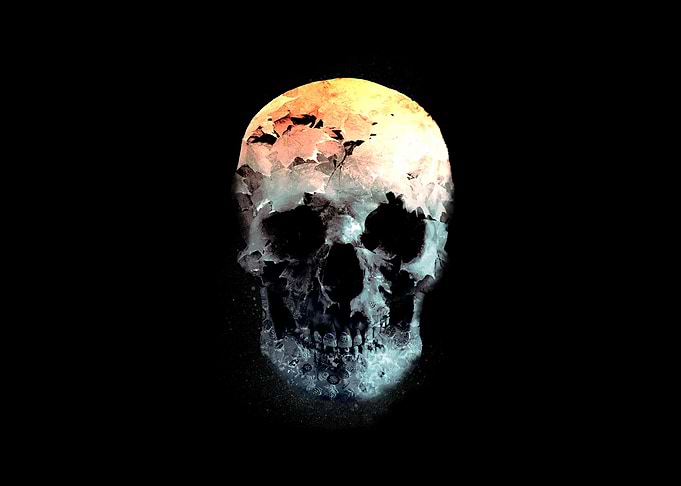 Autumn skull
