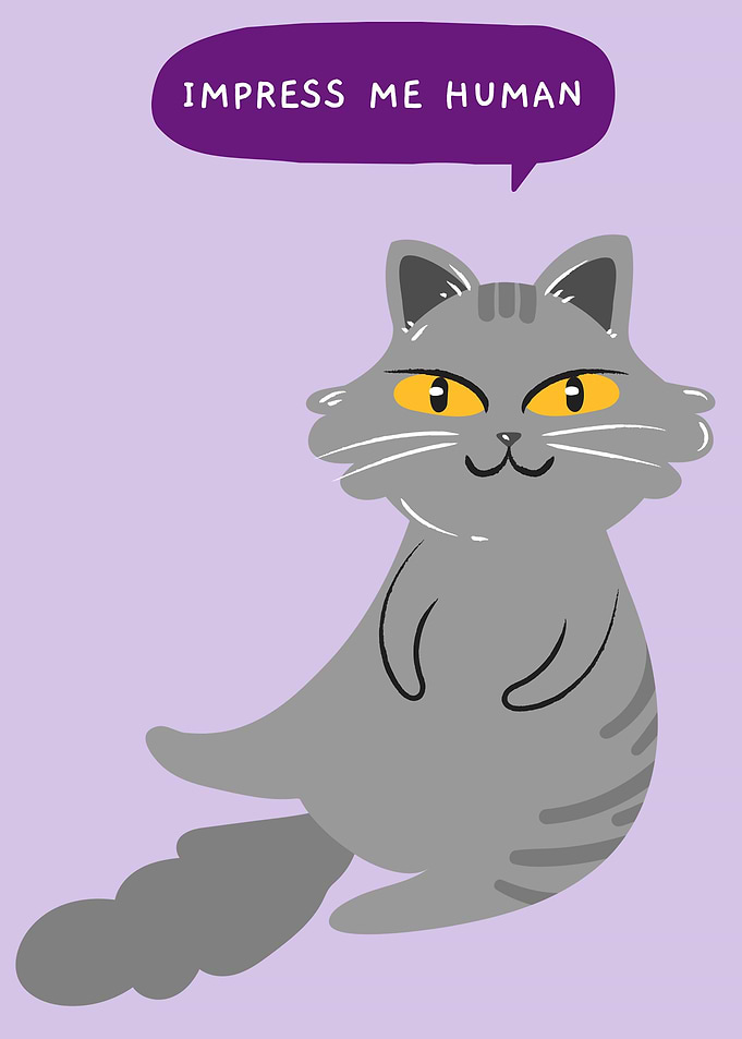 Funny Cat impress me human