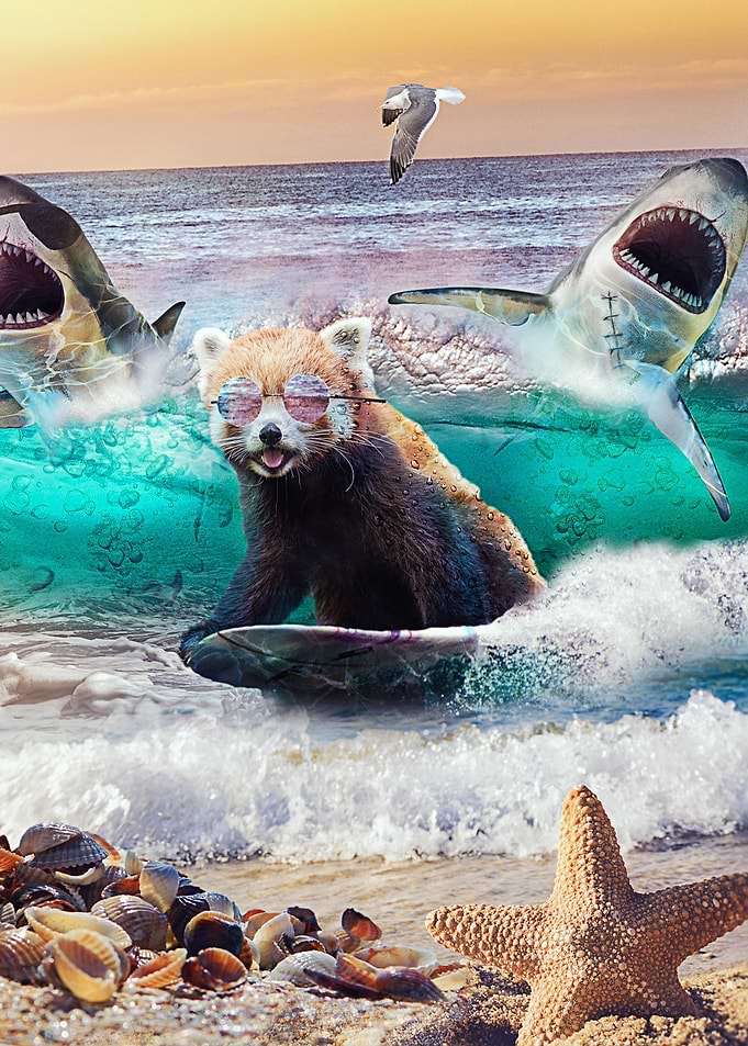 Red Panda Surfing At Beach