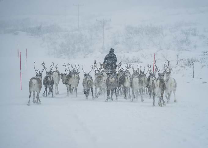 The Land of the Sami