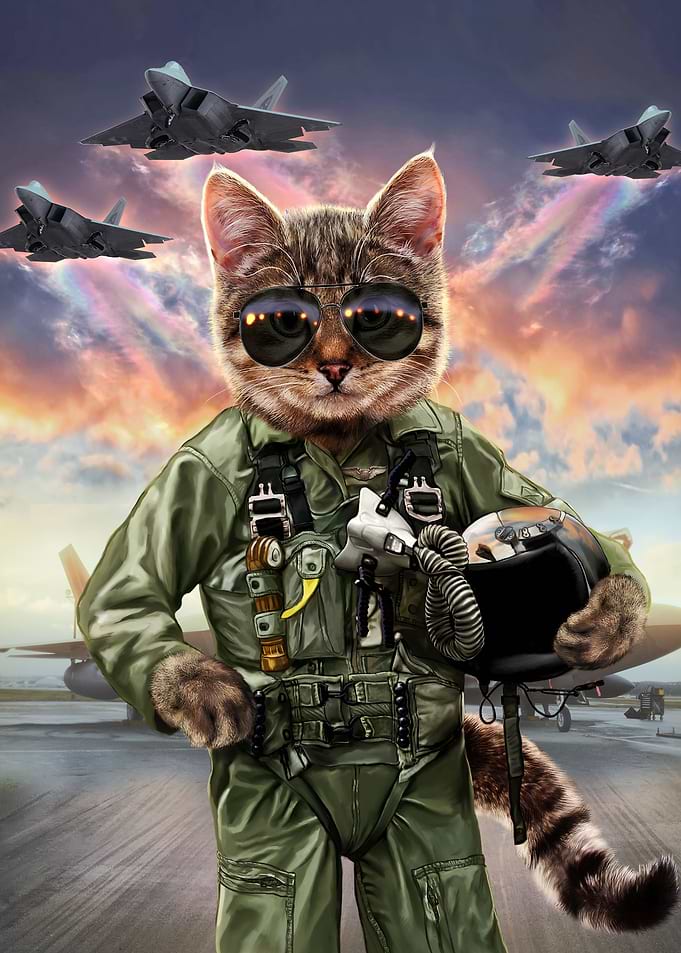 Cat Pilot in the Air Force