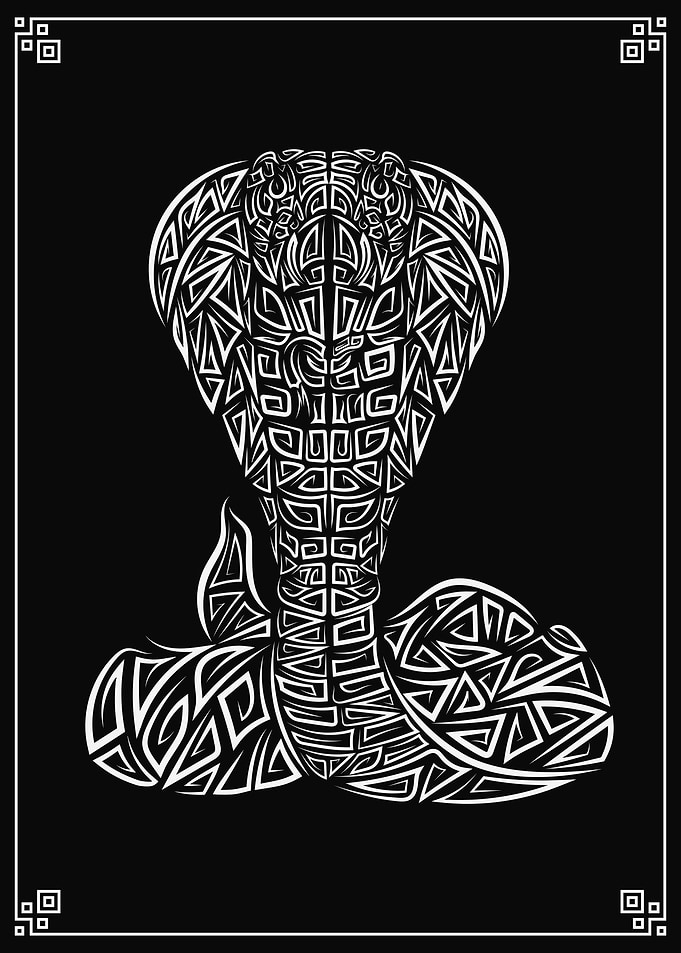 COBRA