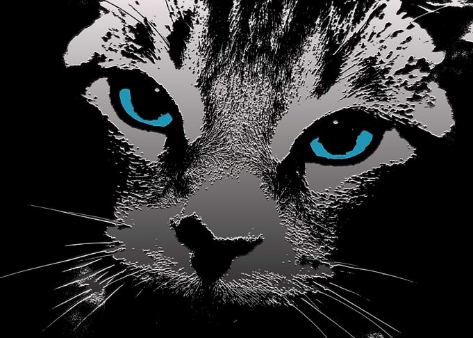 Blue Eye Metal