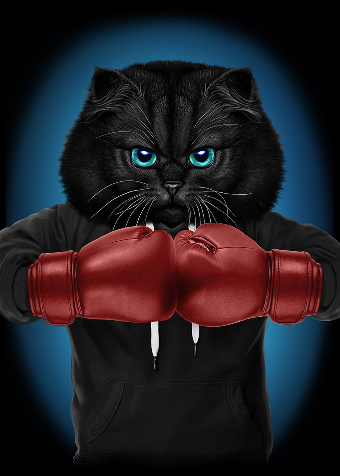 Boxer Cat Boxing Champion