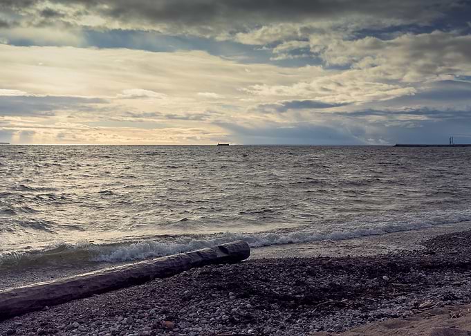 Log On The Beach