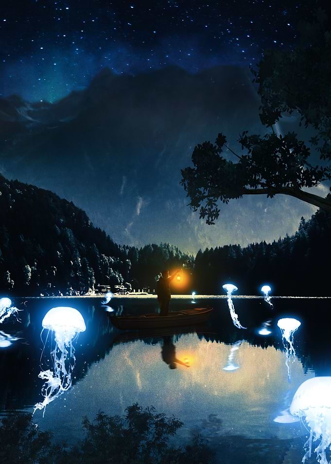 Supernatural Jellyfish