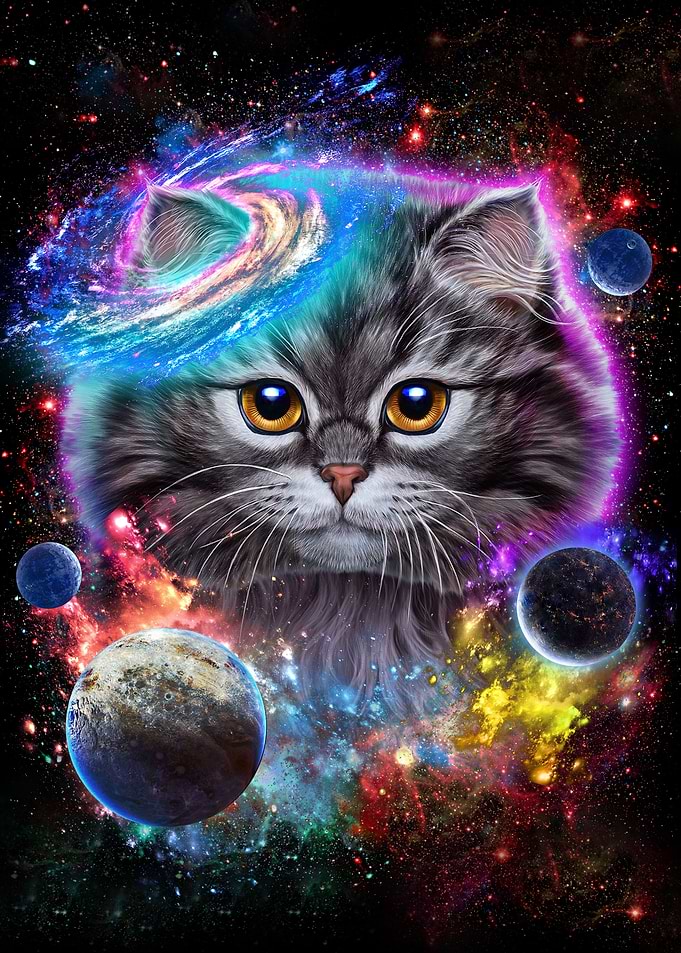 Cat in Galaxy Space Cosmos