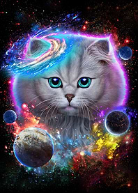 Cat in Galaxy Space Cosmos