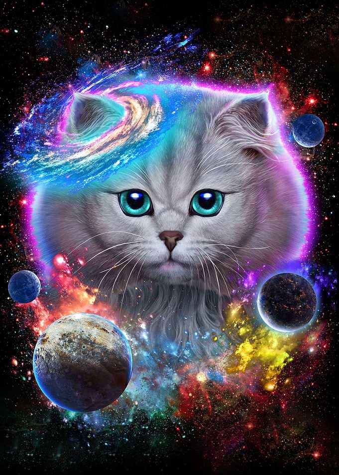 Cat in Galaxy Space Cosmos