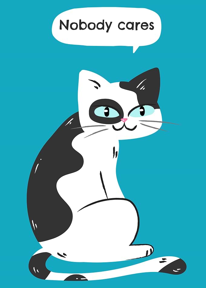 Funny Cat nobody cares