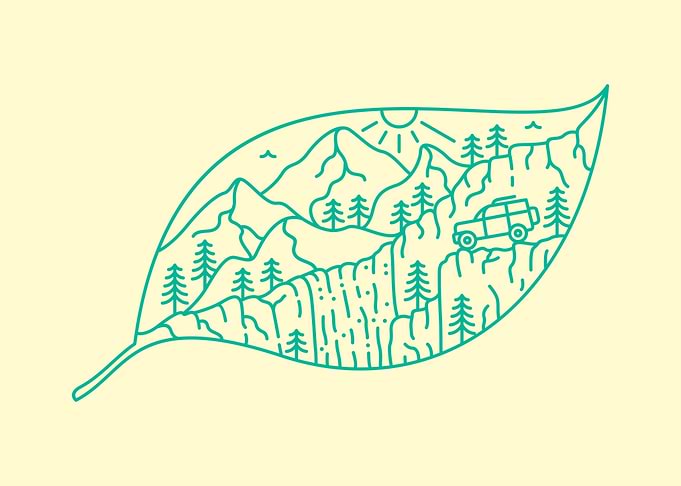 Stay Wild Protect Nature