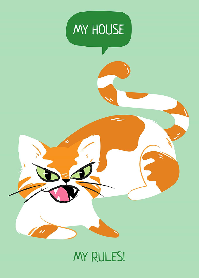 Funny angry Cat quote