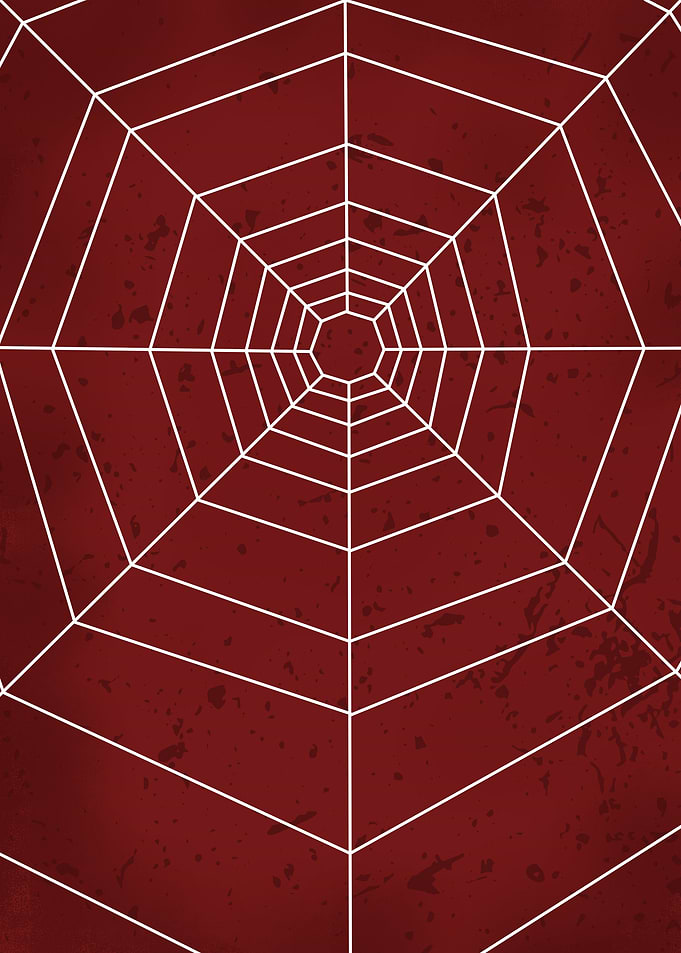spider net
