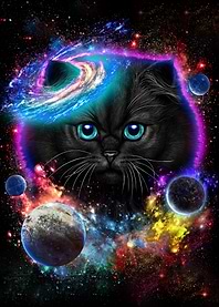 Cat in Galaxy Space Cosmos