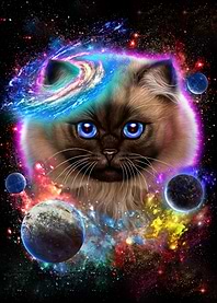 Cat in Galaxy Space Cosmos