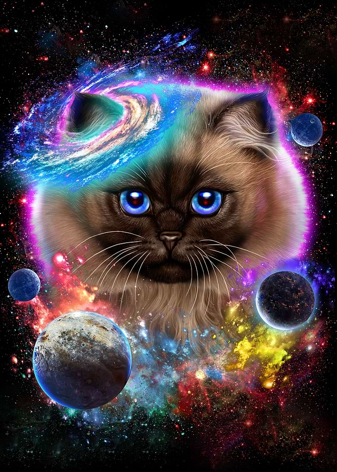Cat in Galaxy Space Cosmos