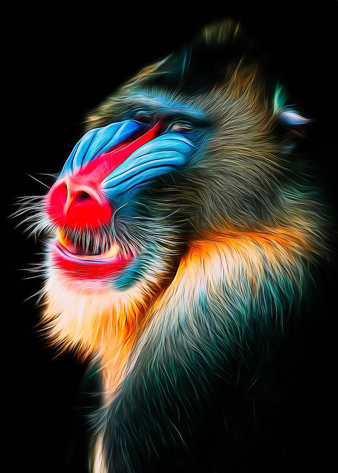 Surreal Mandrill
