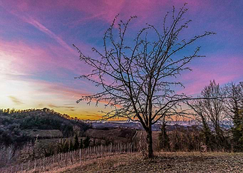 Hills of Montferrat