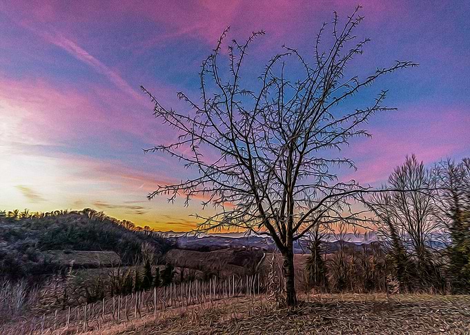 Hills of Montferrat