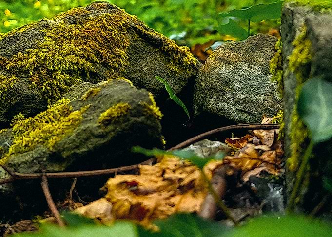 Formed Rocks